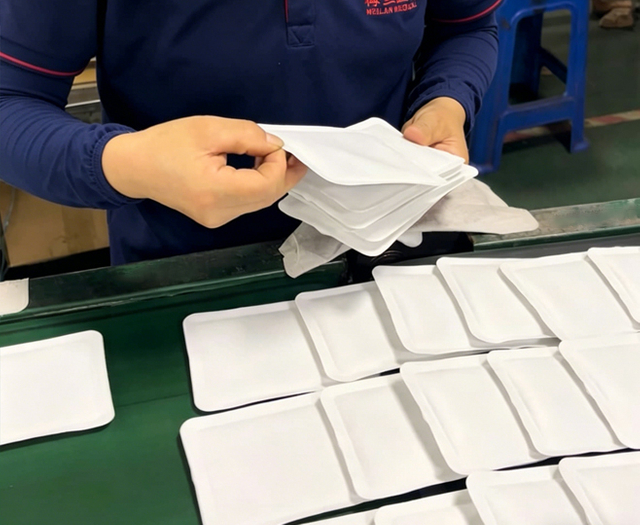 Quality inspection on the heating pad production line (2)