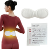 Back Pain Heating Pad Physiology Therapy Patch for Waist Pain